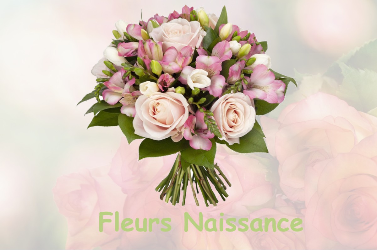 fleurs naissance VIRIVILLE