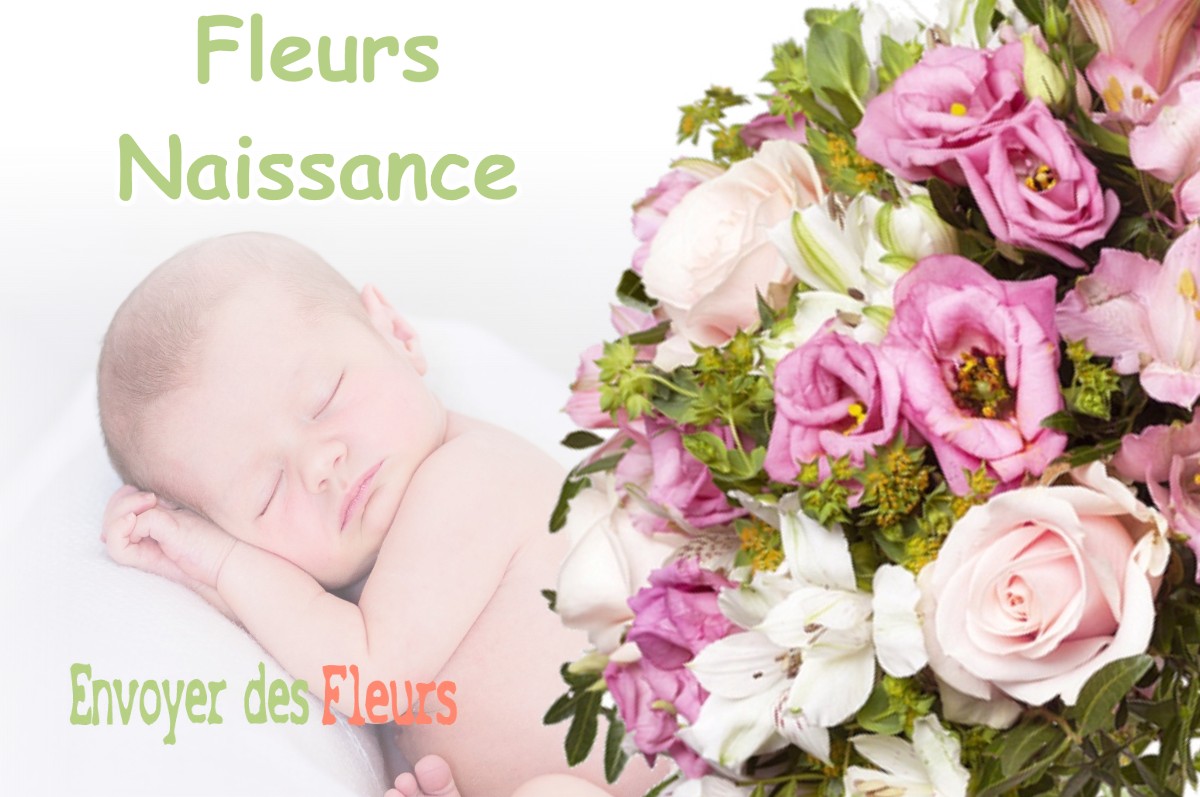 lIVRAISON FLEURS NAISSANCE à VIRIVILLE